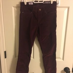 Gap Velvet Legging Jean